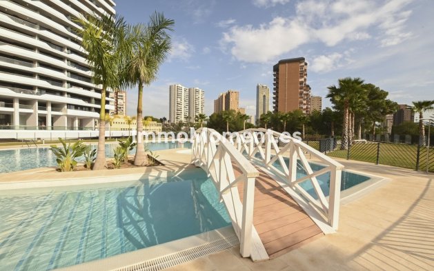 Reventa - Apartamento - Benidorm - Benidorm Centro