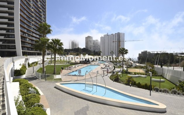 Revente - Appartement - Benidorm - Benidorm Centro