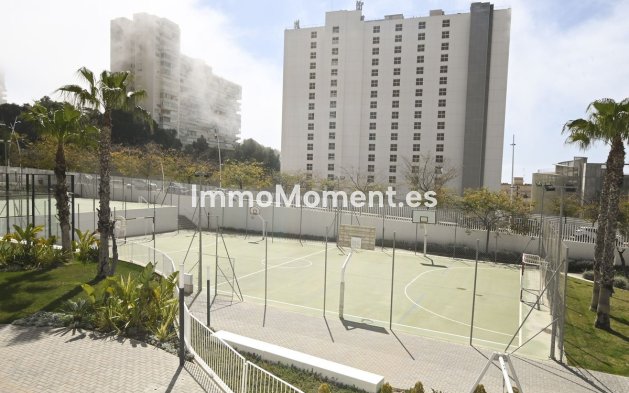 Revente - Appartement - Benidorm - Benidorm Centro