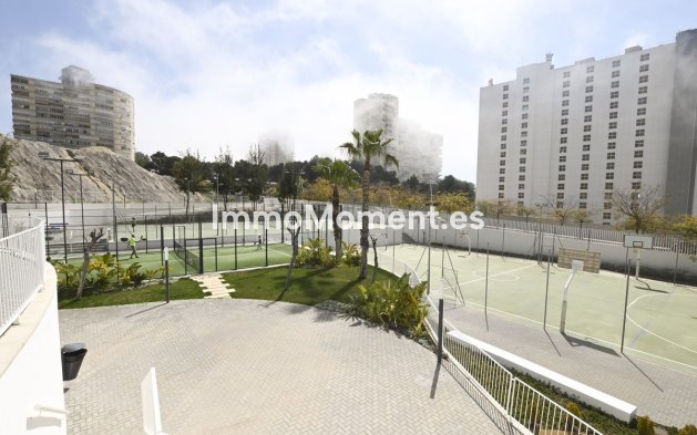Revente - Appartement - Benidorm - Benidorm Centro