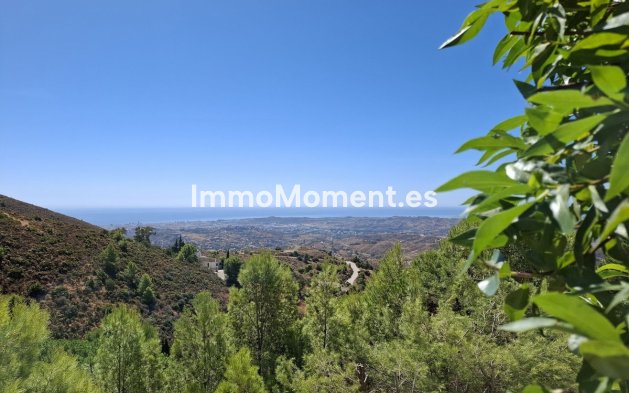 Revente - Maison mitoyenne - Mijas - Mijas Centro