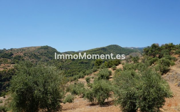 Revente - Maison de campagne - Intérieur                       - Yunquera