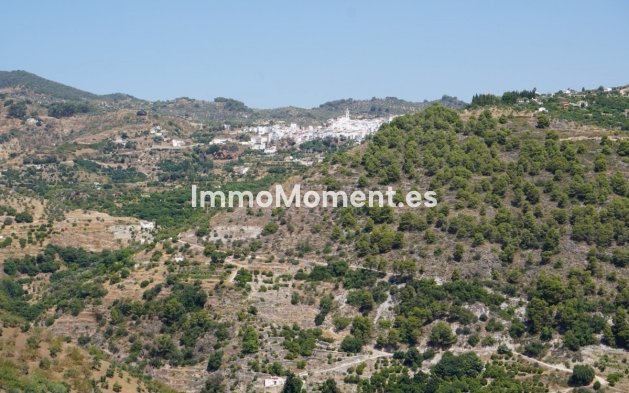 Revente - Maison de campagne - Intérieur                       - Yunquera