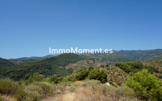 Revente - Maison de campagne - Intérieur                       - Yunquera