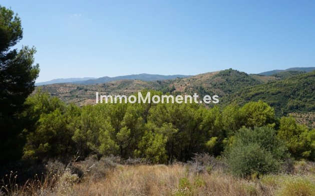 Revente - Maison de campagne - Intérieur                       - Yunquera