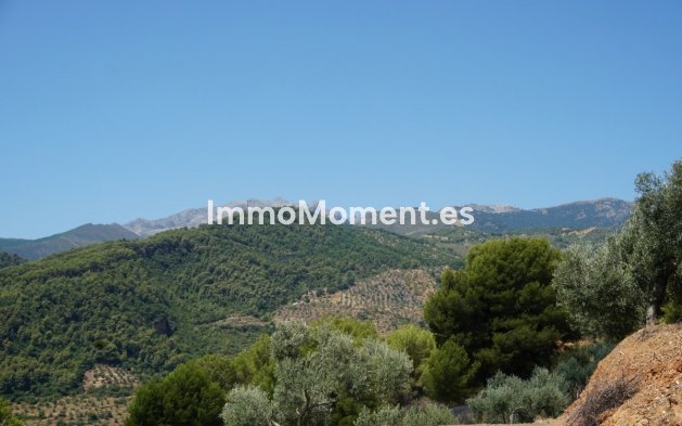 Revente - Maison de campagne - Intérieur                       - Yunquera