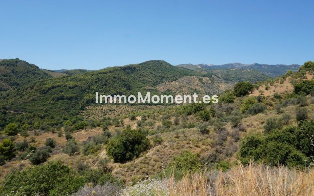 Revente - Maison de campagne - Intérieur                       - Yunquera