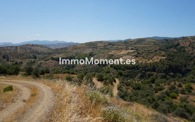 Revente - Maison de campagne - Intérieur                       - Yunquera