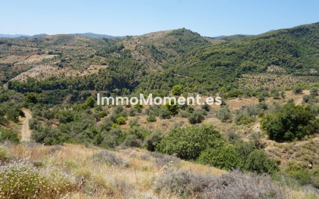 Revente - Maison de campagne - Intérieur                       - Yunquera