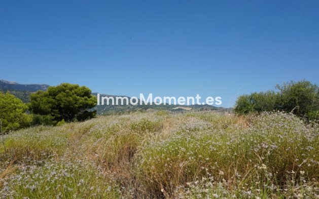 Revente - Maison de campagne - Intérieur                       - Yunquera