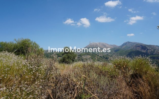 Revente - Maison de campagne - Intérieur                       - Yunquera