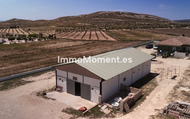 Revente - Maison de campagne - Jumilla - Torre Del Rico