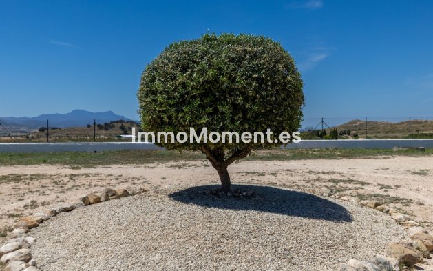 Revente - Maison de campagne - Jumilla - Torre Del Rico