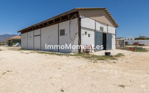 Revente - Maison de campagne - Jumilla - Torre Del Rico