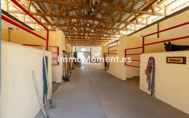 Revente - Maison de campagne - Jumilla - Torre Del Rico