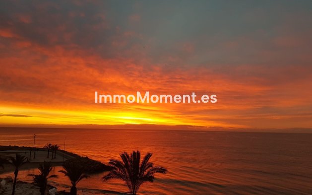 Wiederverkauf - Wohnung - Torrevieja - Playa del Cura