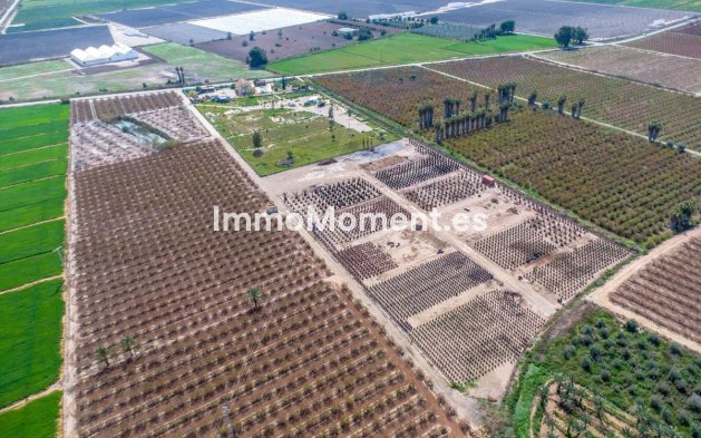 Revente - Maison de campagne - Crevillente - Crevillente - Crevillent Centro