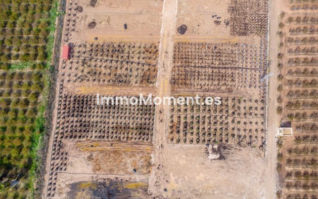 Revente - Maison de campagne - Crevillente - Crevillente - Crevillent Centro