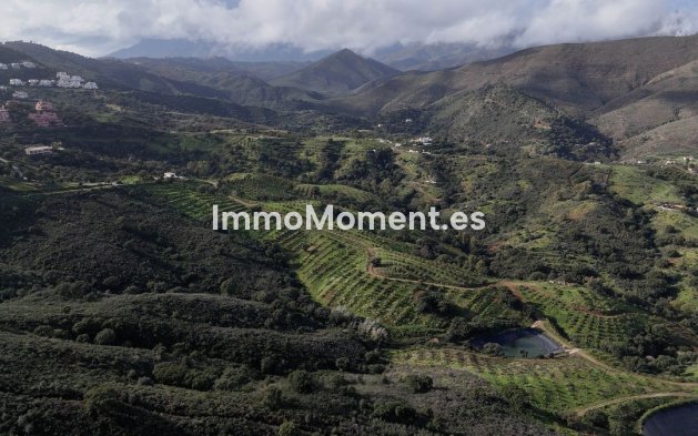 Wiederverkauf - Land - Mijas - La Cala Golf