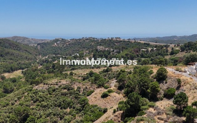 Construction neuve - Terrain - Benahavís - Benahavís Centro