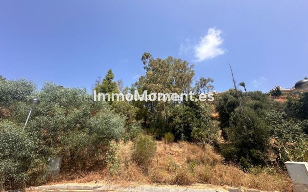 Wiederverkauf - Land - Estepona  - Estepona Centro