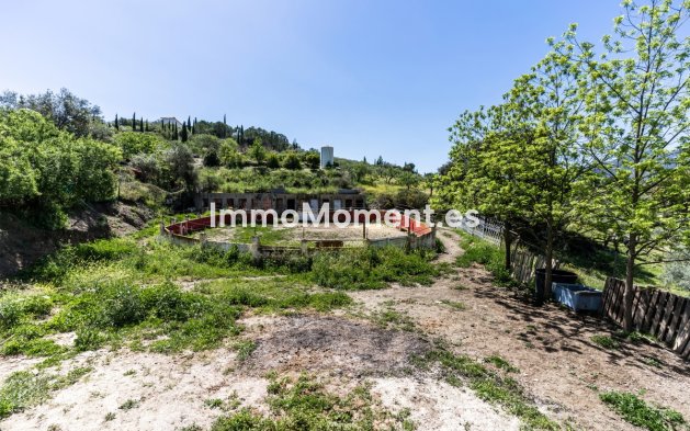 Revente - Maison de campagne - Intérieur                       - Monda