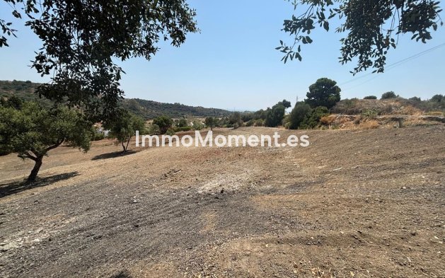 Revente - Terrain - Estepona  - Estepona Centro