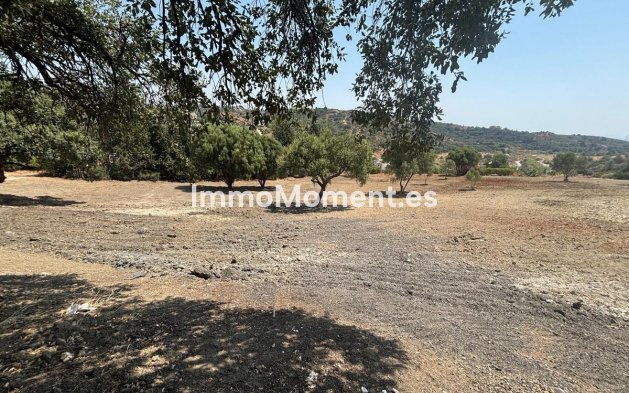 Revente - Terrain - Estepona  - Estepona Centro