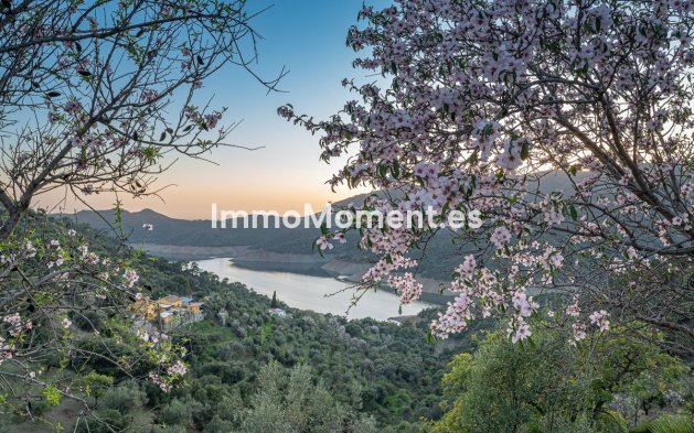 Wiederverkauf - Reihenhaus -   Inländisch - Istán