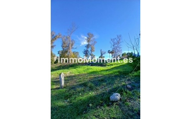 Revente - Terrain - Marbella - Guadalmina Alta