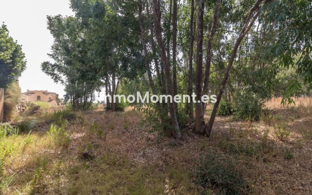 Wiederverkauf - Land - Manilva - Manilva Centro