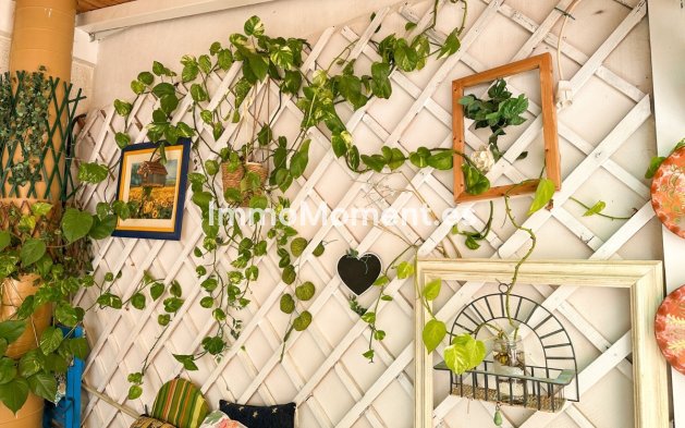 Revente - Appartement - Torrevieja - Torrevieja Centro