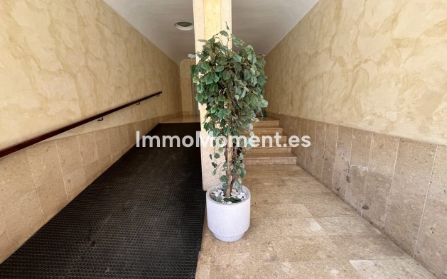 Reventa - Apartamento - Almoradí - Almoradi Centro