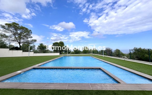 Revente - Appartement - San Miguel de Salinas - San Miguel de Salinas Centro