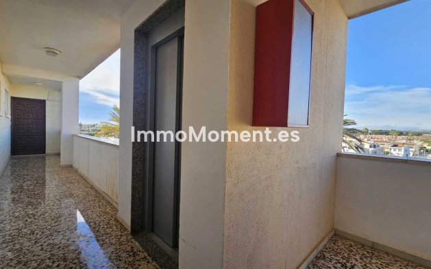 Wiederverkauf - Wohnung - Orihuela - Mil Palmeras