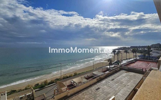 Wiederverkauf - Wohnung - Orihuela - Mil Palmeras