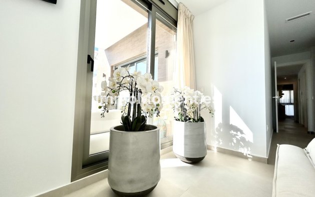 Revente - Villa - San Miguel de Salinas - San Miguel de Salinas Centro