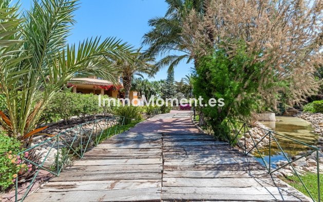 Reventa - Villa - Elche - Elche Centro