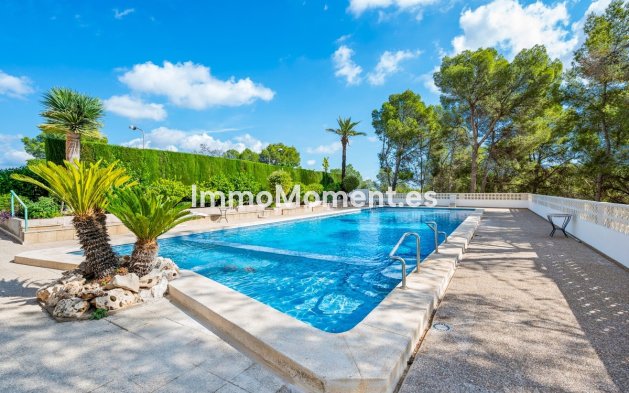 Reventa - Apartamento - La Nucía - La Nucia Centro