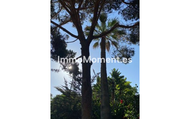 Resale - Villa - Marbella - Guadalmina Baja