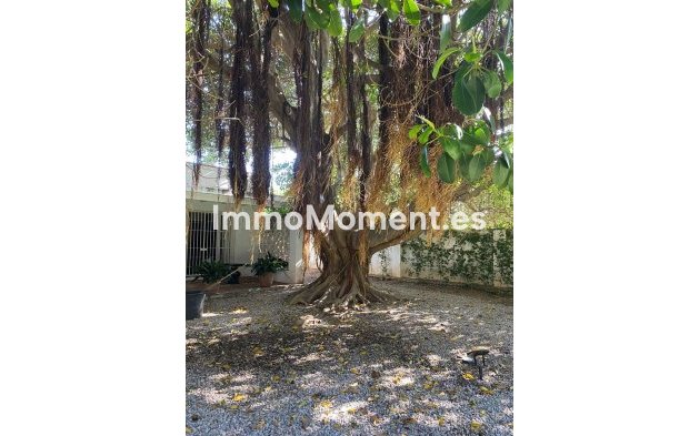 Resale - Villa - Marbella - Guadalmina Baja