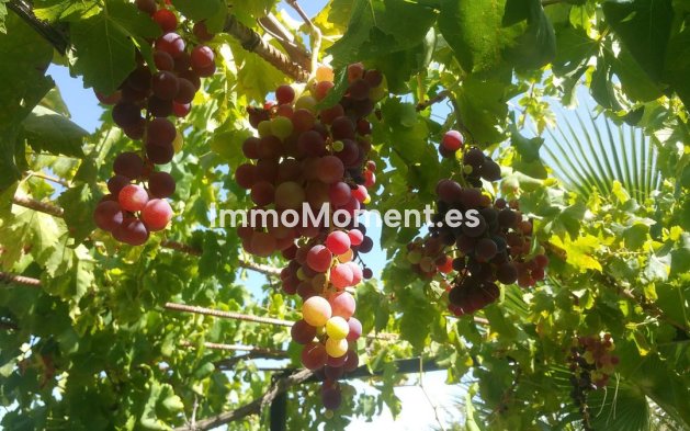 Reventa - Casa de campo - Interior  - Alhaurín de la Torre