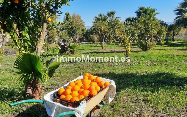 Reventa - Casa de campo - Interior  - Alhaurín de la Torre