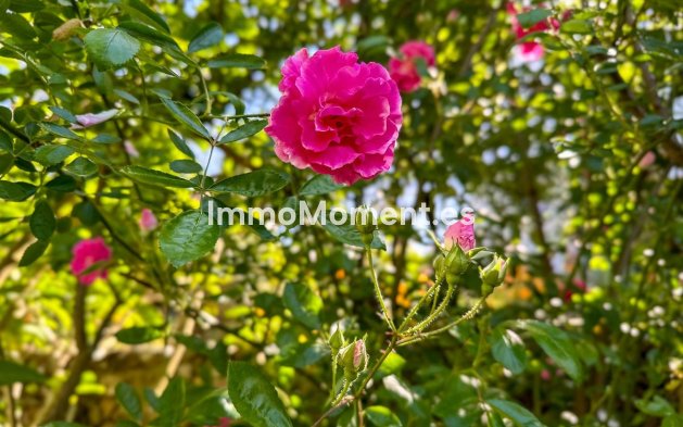 Bestaande woning - Landhuis - Binnenland  - Alhaurín el Grande Centro