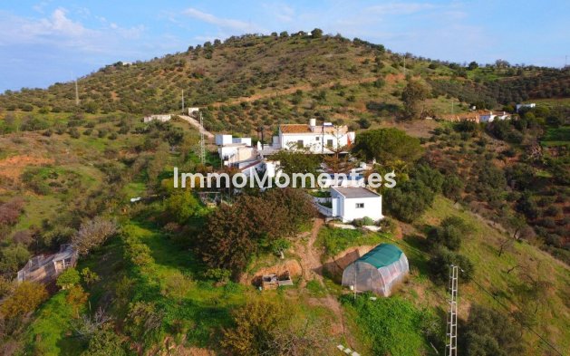 Revente - Maison de campagne - Intérieur                       - Pizarra