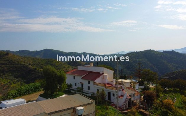 Revente - Maison de campagne - Intérieur                       - Pizarra