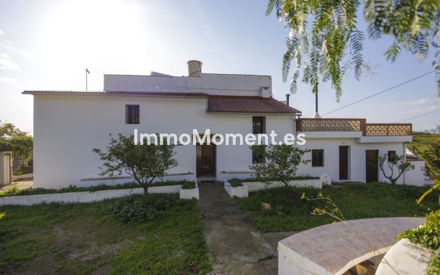 Revente - Maison de campagne - Intérieur                       - Pizarra