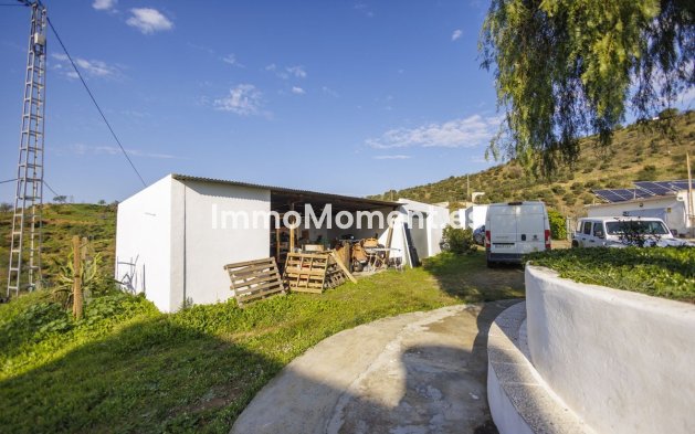 Revente - Maison de campagne - Intérieur                       - Pizarra