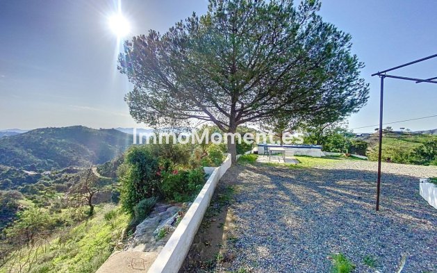 Revente - Maison de campagne - Intérieur                       - Pizarra