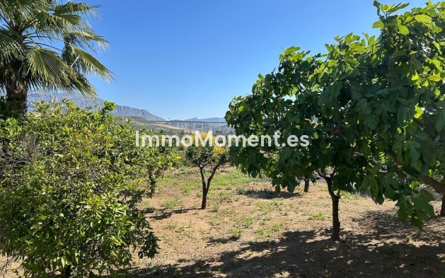 Wiederverkauf - Villa -   Inländisch - Alora